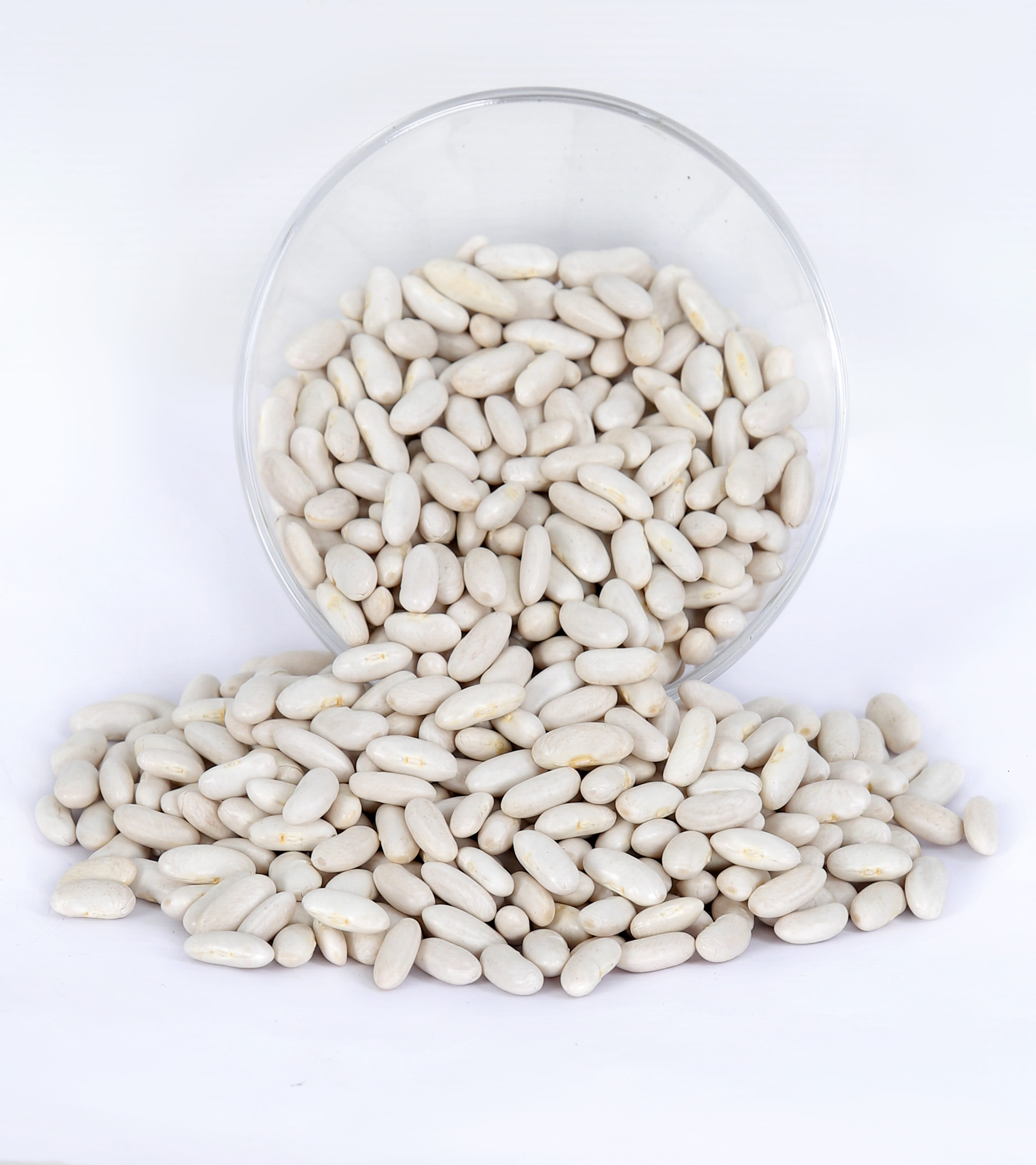 Navy beans